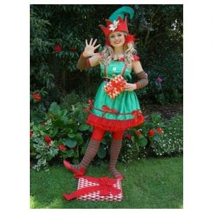 Fairy Wishes Children's Parties elf