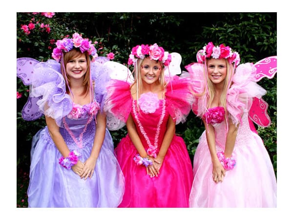 Fairy Wishes Children's Parties entertainers