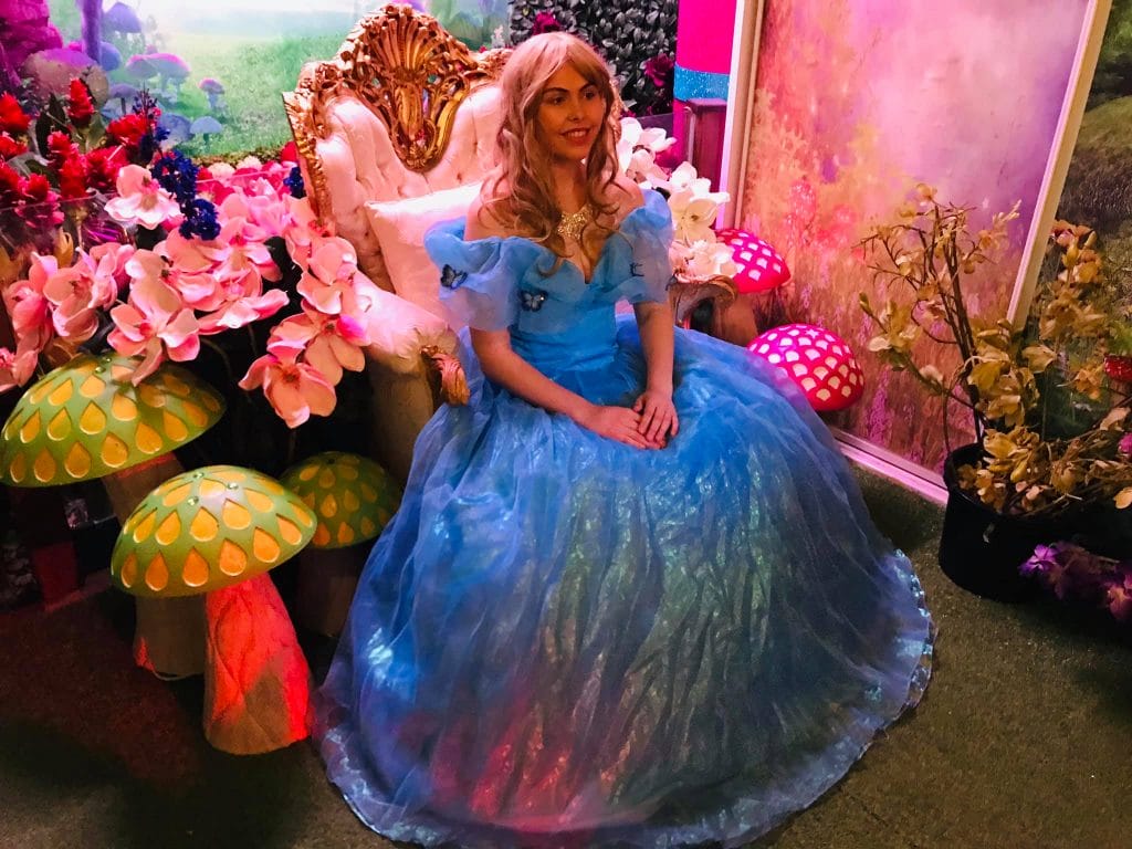 https://projectparty.com.au/wp-content/uploads/2020/09/fairy-and-the-frog-princess-1024x768.jpg