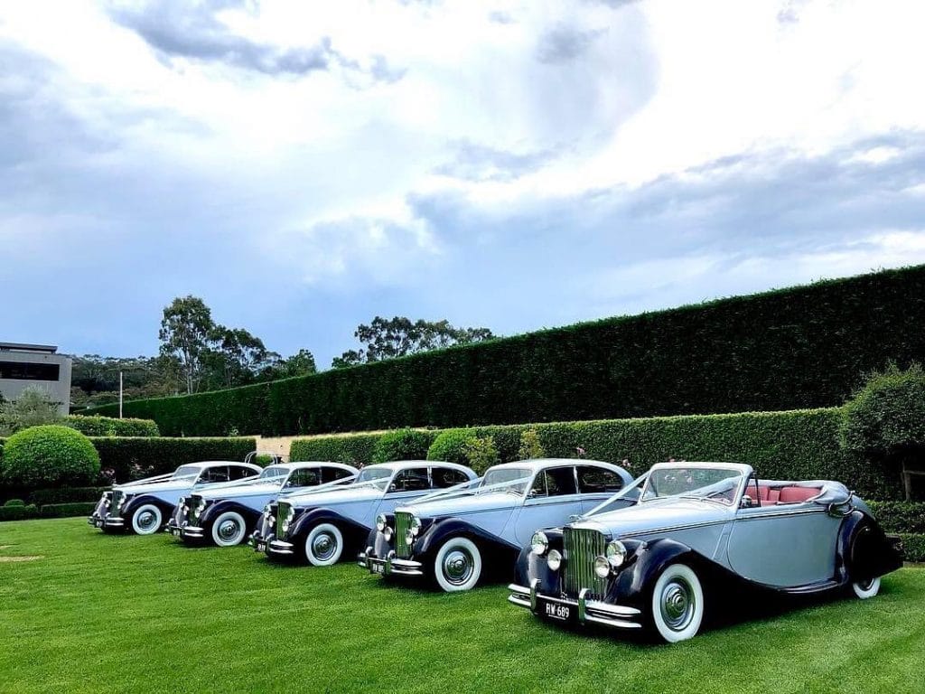 Royalty Wedding Cars lined up
