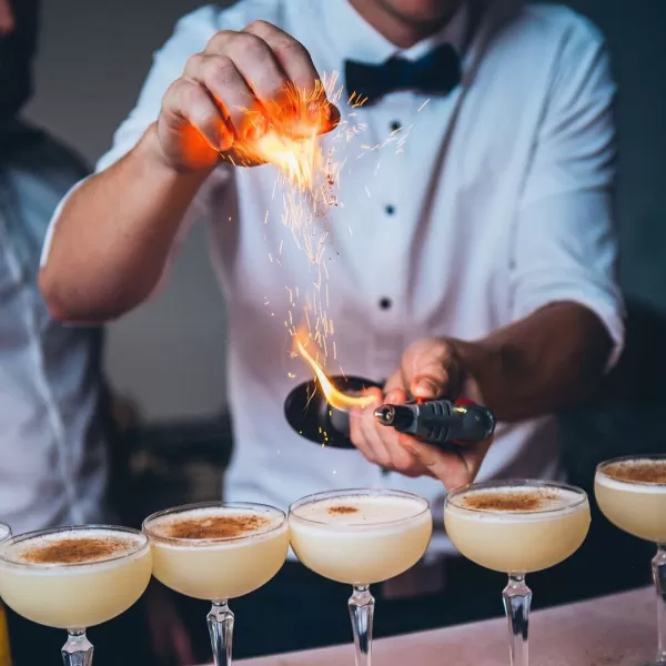 Bar Staff for Hire Project Party