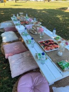 Lovely Jubbly Party Hire picnic