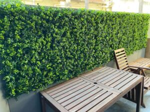 Designer Plants green walls