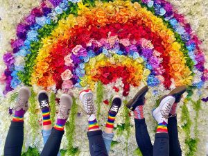 Flower Walls HQ rainbow