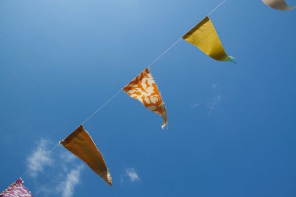 Bunting under a blue sky